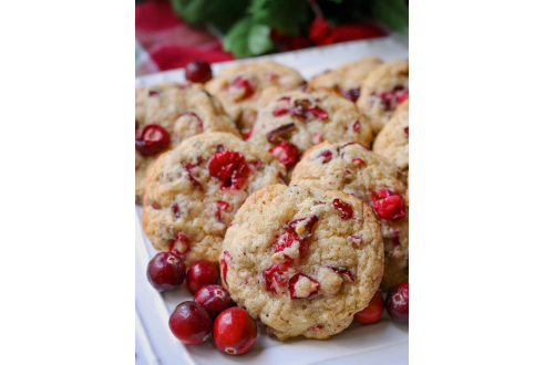 dried_cranberries-1